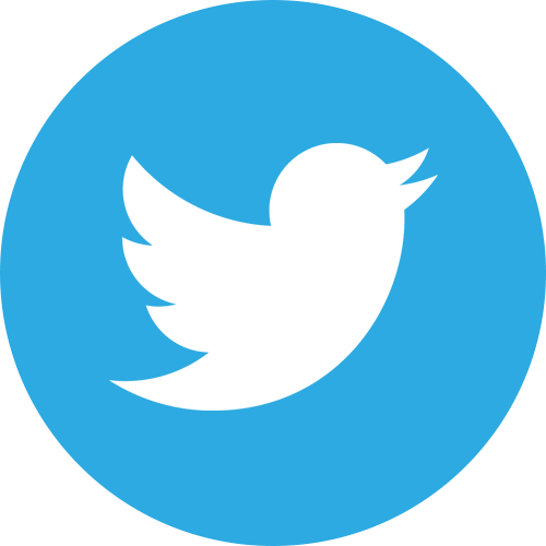 Twitter Logo in Round blue with shadow